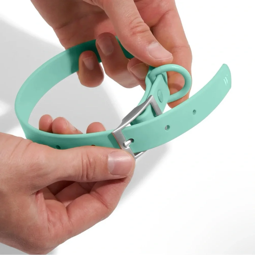 Wild One Dog Collar - L (15-18